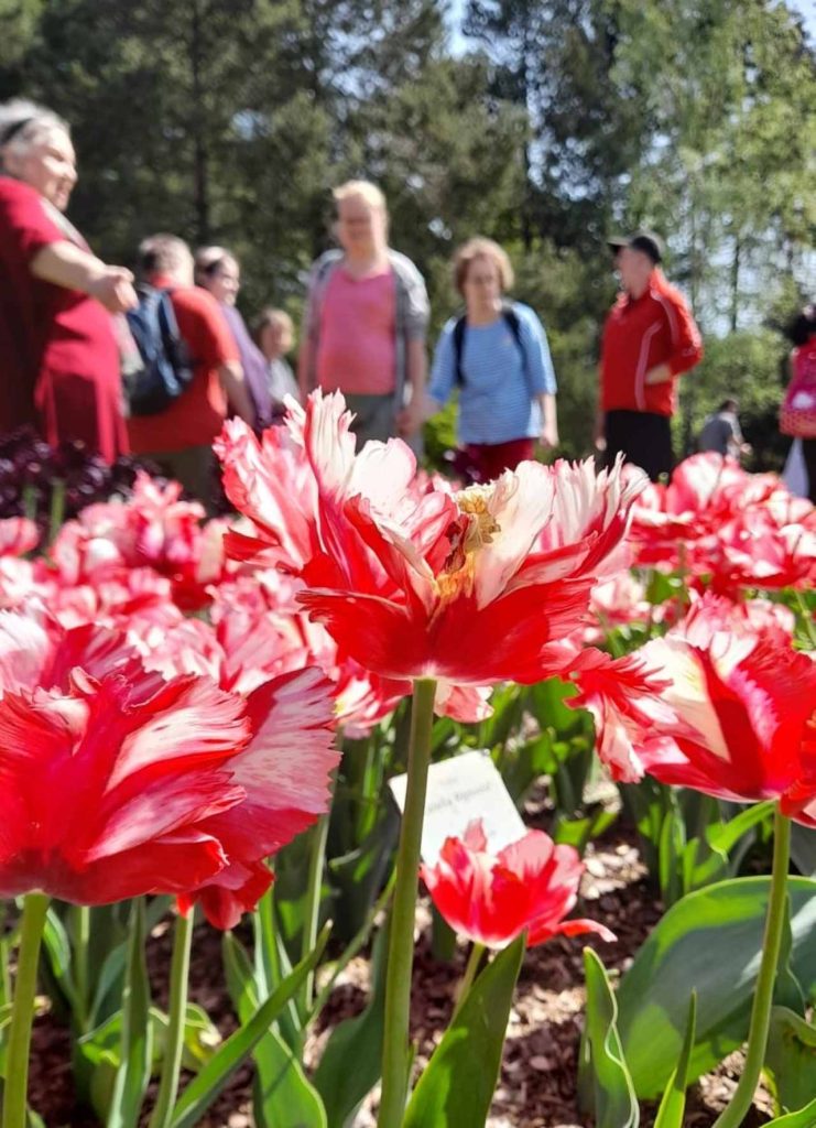 Výstava tulipánů 2024.
