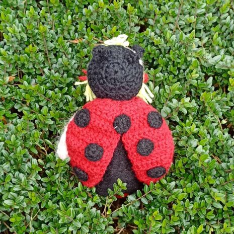 beruska-2b Beruška pro děti vyrobena v Dílně Jinan.