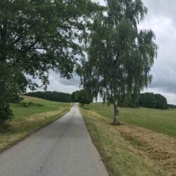 Chlum u Třeboně 2025.