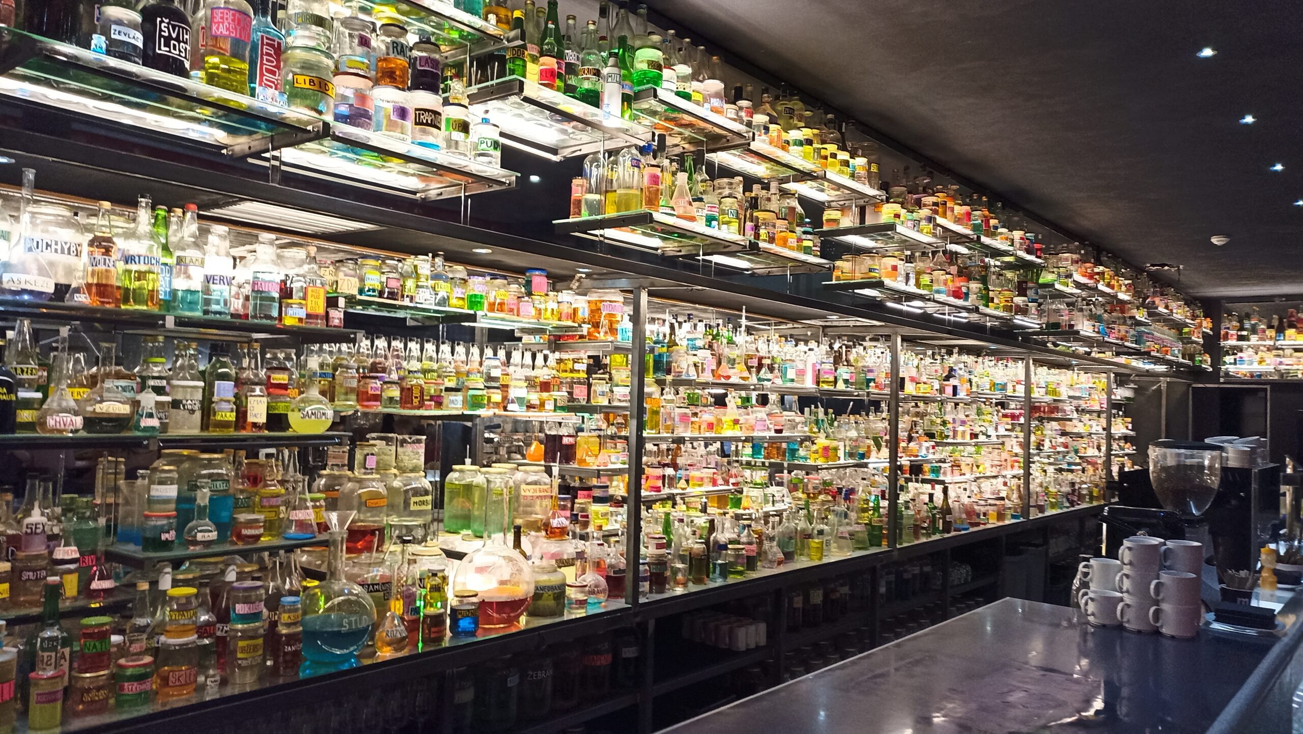 Divadlo Bruncvík a Lev.