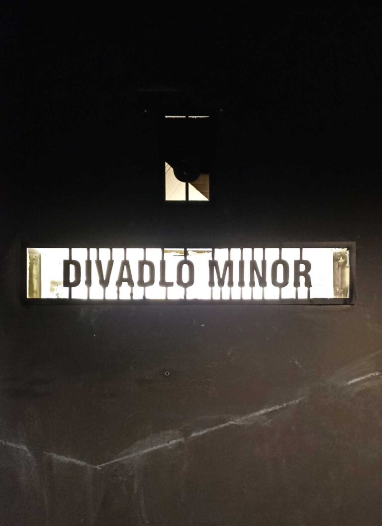 Divadlo Bruncvík a Lev.